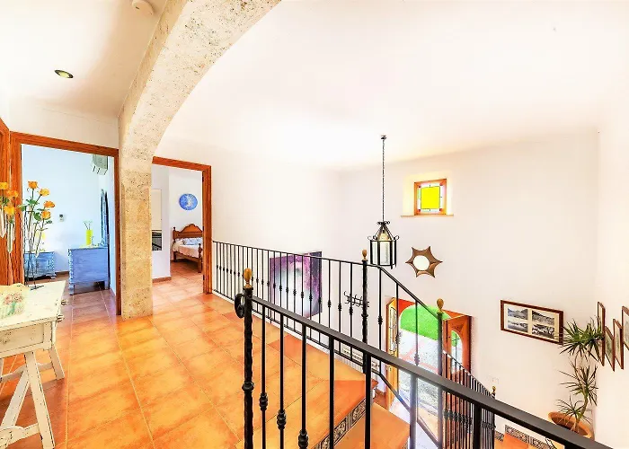 فيلة Pou Nou ميورقة